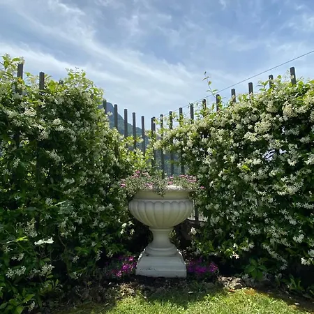 Maison Morandi Villa *