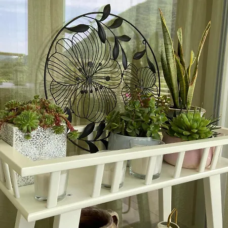 Maison Morandi Villa